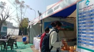 IMG-20250207-WA00031-compressed-1.jpg